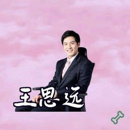 王思远